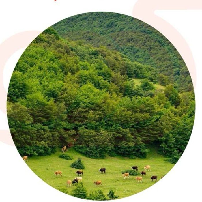 اصل دهم شادمان